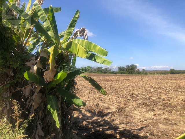 ขายถูกมากที่ดินติดถนนสายหลัก สระบุรี-หล่มสัก เนื้อที่ 69-0-78.9 ไร่ ขายยกแปลง 25 ล้าน หนองไผ่ เพชรบูรณ์