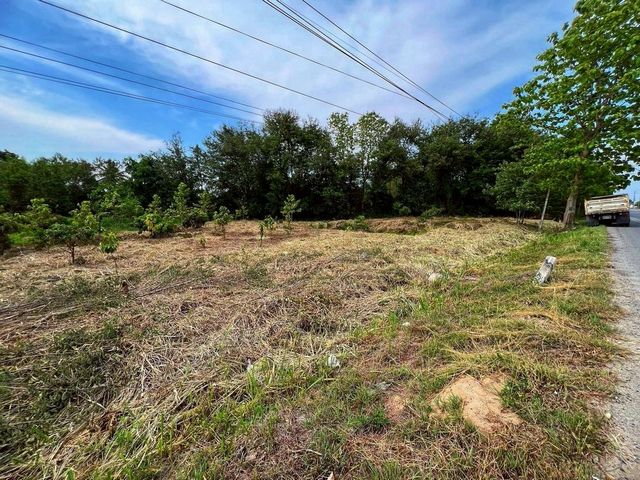 ขายที่ดินแปลงสวย #ราคาต่ำกว่าท้องตลาด ขายยกแปลง 15 ล้าน 2-0-21 ตรว. #ที่ดินติดถนนเลี่ยงเมืองสันป่าตอง - หางดง หน้ากว้าง 65 เมตร