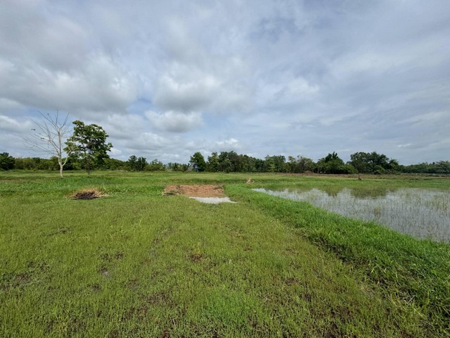 ขายที่ดินแปลงสวยติดถนน อำเภอเมือง จังหวัดหนองคาย เนื้อที่ 24 ไร่