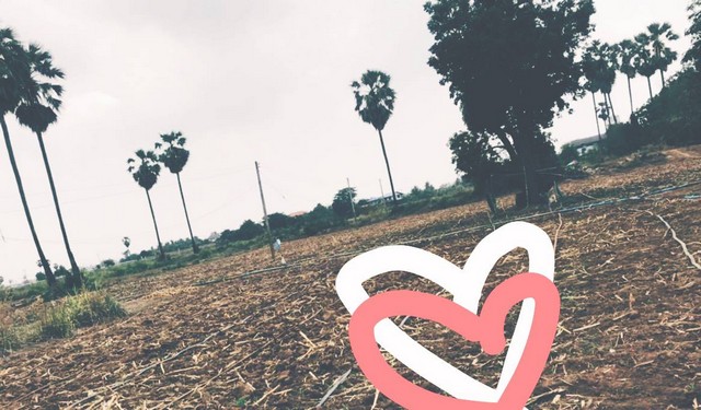 หน้าฝนมีทรัพย์ดีเสดชื่นหัวใจ ขายที่สวยติดแม่น้ำน่าน ชุมแสง  จ.นครสวรรค์ 300000 บาท.วิวแม่น้ำเกษตรดีงามสวยสมบูรณ์