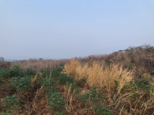 หน้าฝนมีทรัพย์ดีเสดชื่นหัวใจ ด้วยทรัพย์ดีทวีมูลค่า ธรรมชาติเนินเขา ที่ดินโฉนดแบ่งขาย หล่มเก่า เพชรบูรณ์ ใกล้ภูทับเบิก โทร 0968821857