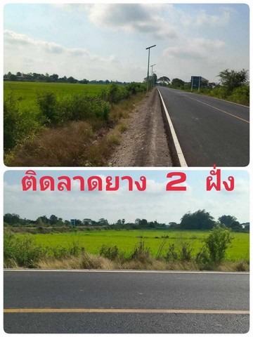 ขายที่ดินเปล่า หรือแบ่งแปลงขาย หน้าติดลาดยาง ติดคลอง ใกล้มหาลัยสวนดุสิตสุพรรณบุรี