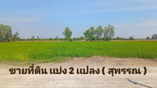 ขายที่ดิน เเบ่งเเปลงขาย ใกล้ตัวเมืองสุพรรณ น้ำไฟ พร้อม 