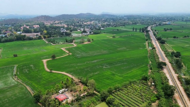 ขายที่ดินโฉนดครุฑแดง  ต.ชำแระ อ.โพธาราม จ.ราชบุรี เนื้อที่รวม  19-03-93.3 ตร.ว.