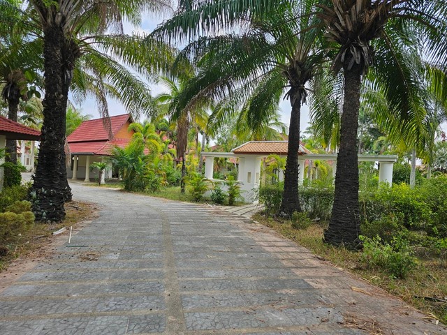 ขายที่ดินพร้อมสิ่งปลูกสร้าง..ห้วยใหญ่-เขาชีจรรย์-พัทยา โฉนดปลอดภาระ มีสิ่งปลูกสร้างเป็นรีสอร์ท