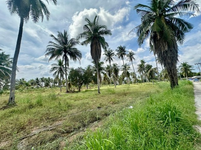 ปล่อยเช่าที่ดินบึง ศรีราชา ใกล้นิคมแหลมฉบัง แปลงสวย ทำเลดี FP-0644