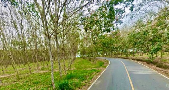 ขายที่ดินหนองเสือช้าง แปลงสวย ทำเลดี ใกล้นิคมโรจนะ หนองใหญ่  FP-L0640 