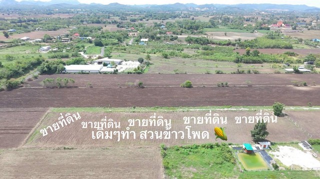 ขายที่ดินราคาถูก1ไร่ โฉนดครุฑแดง พร้อมโอนกรรมสิทธิ์ ขายที่ดินสระบุรี ตำบลเขาดินพัฒนา