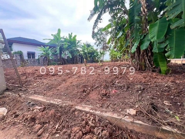 ขายที่ดิน 2.6 ลบ. ถมแล้ว แปลงมุม อ.แกลง จ.ระยอง ใกล้ทะเลเพียง 7 นาที โทร 088-636-1662