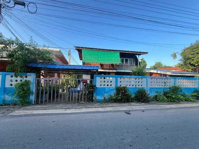 ขายที่ดินและบ้านเช่าพร้อมผู้เช่า เนื้อที่ 250 วา  ซอยถนนประชารัฐ  บางกุ้ง   เมืองสุราษฎร์ธานี  ZST216