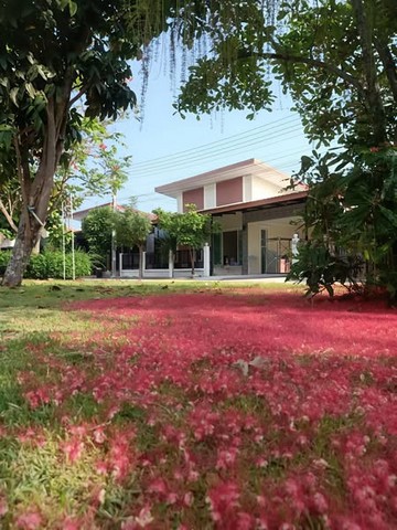 ด่วนบ้านเดี่ยวชั้นเดี่ยวใกล้นิคมอมตะซิตี้พานทองชลบุรีสิรัชชา พาร์ค บ้านกลางพนัสชลบุรี