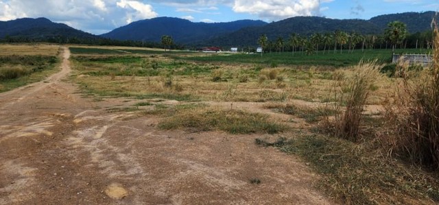 ขายที่ดินเขาคันทรง หุบบอน ศรีราชา แปลงสวย ห่างท่าเรือแหลมฉบัง 30 กม. FP-L0656