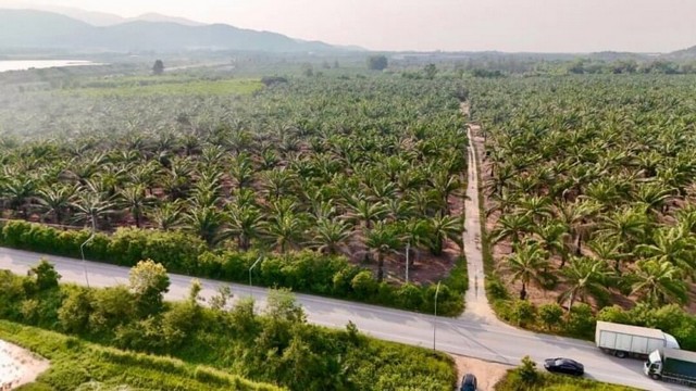 ขายที่ดินคลองกิ่ว บ้านบึง แปลงสวย ทำเลดี ใกล้อ่างเก็บน้ำคลองหนองน้ำ FP-L0655