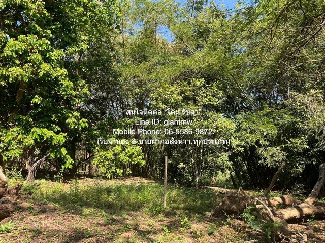 ขาย ที่ดิน ขายที่ดินบนเนินเขา และที่ราบสลับซับซ้อนกันแปลงใหญ่ อ.ดอยสะเก็ด จ.เชียงใหม่ 23-2-68.9 ไร่ ราคา 71 ล้านบาท  ราคาเดียว