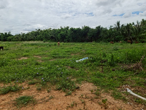 ขายที่ดินตำแหน่งสวยติดคลอง 12-0-77 ไร่ ต. ศิลาลอย อ.สามร้อยยอด จ.ประจวบคีรีขันธ์