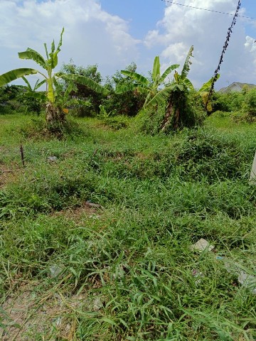 ขายที่ดินเปล่าถมแล้ว เนื้อที่ 1-2-87.9 ไร่ ติดถนน 4 เลน ดอยสะเก็ด เชียงใหม่