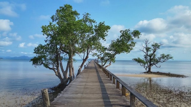 ประกาศขายที่ดิน เกาะหมาก จ.ตราด  Land for sale by the sea in Thailand, Koh Mak โทร.ติดต่อ 093 441 5691