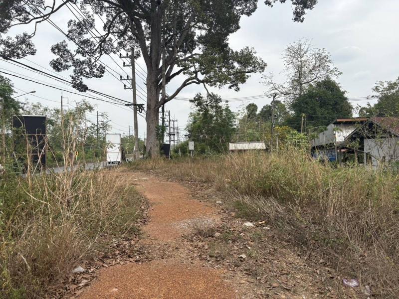 ขายหรือให้เช่าที่ดินเปล่า ทำเลดี อำเภอกบินทร์บุรี จังหวัดปราจีนบุรี