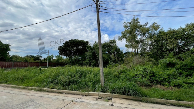 ที่ดินเปล่า ขนาด 90.6 ตร.วา ในหมู่บ้านชัยพฤกษ์ บางบัวทอง ใกล้เซ็นทรัล เวสต์เกต ราคาถูกมาก!!!