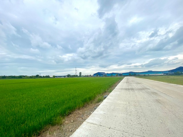 ขายที่ดิน 12 ไร่ ถมแล้วผังสีม่วง แปลงสี่เหลียมหน้ากว้าง เขตEEC อ.เมือง ฉะเชิงเทรา