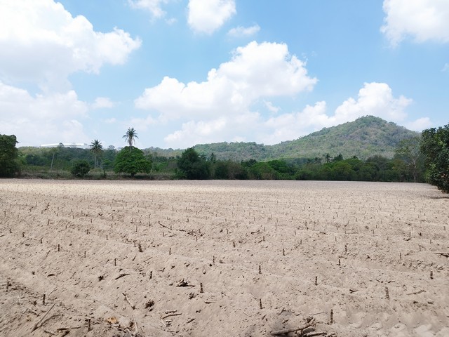 ขายที่ดินเปล่า  ข้างนิคมปิ่นทอง 3  เส้น 331 (บ่อวิน-มาบเอียง)  ไม่ต้องถม เดินทางสะดวกทุกทิศทาง