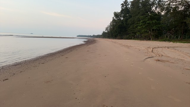 สนใจทรัพย์ดีราคาเงื่อนไขคุยตรงเจ้าของได้ ขายที่ดิน 4 ไร่ๆละ 2.8-3.5ล้านบาท ค่าใช้จ่ายในการโอน 50/50