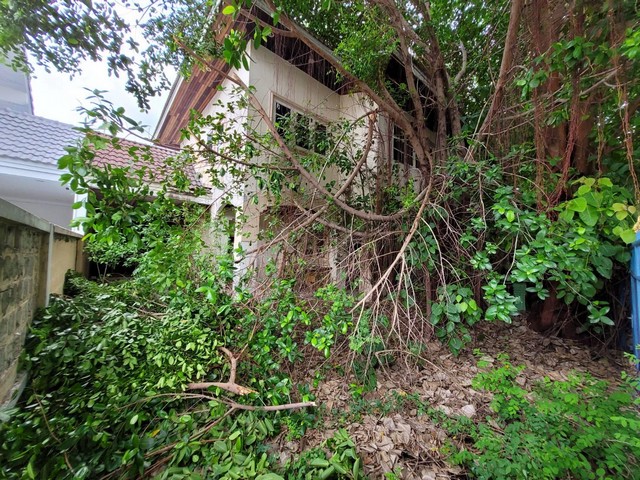 ขาย บ้านเดี่ยว ภัทร ไพรเวท 3 บางบัวทอง บางบัวทอง นนทบุรี  PTT13272