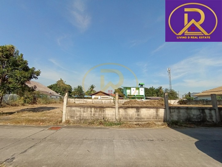 ขายที่ดินแบ่งขาย 200 ตรว. #ขายที่ดินพัทยา ซอยมาบสอง ค่ายมวย 17/1 ใกล้มอเตอร์เวย์ (หมายเลข 7) ต.หนองปรือ อ.บางละมุง จ.ชลบุรี