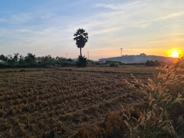 สนใจทรัพย์ดีราคาเงื่อนไขคุยตรงเจ้าของได้  ที่ติดแม่น้ำโขง ต.กุดบง อ.โพนพิสัย จ.หนองคาย  หลังติดแม่น้ำโขง ไร่ละ 2ล้านบาท โทร 096-882-1857