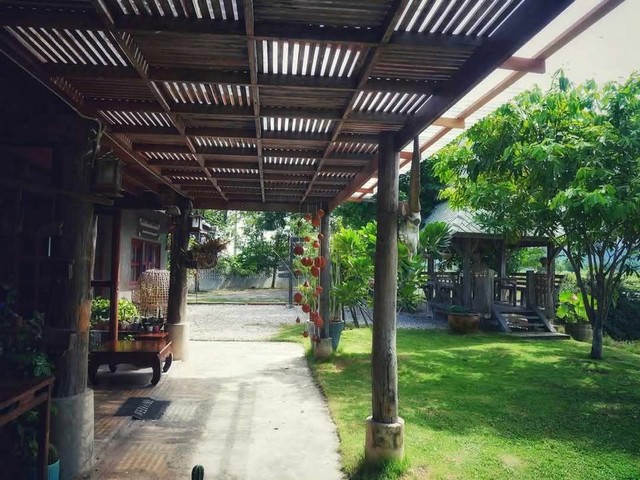 ขายที่ดิน 2-1-0 ไร่ บ้านธิ ลำพูน ใกล้สนามบินใหม่ เหมาะทำรีสอร์ต-เวิร์กช็อป-คาเฟ่ วิวพาโนรามา เพียง 13 ล้าน