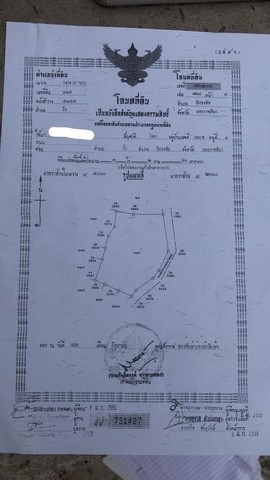 ขายที่นา อ.ปักธงชัย จ.นครราชสีมา เนื้อที่ 7 ไร่ 2งาน 91 ตารางวา โฉนดครุฑแดง