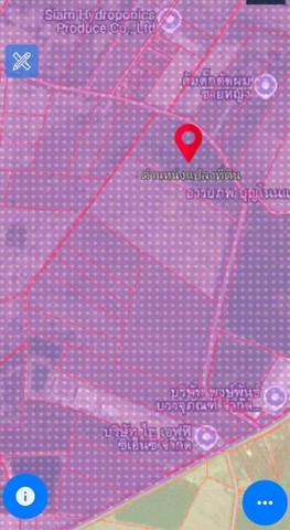 ขายที่ดินสร้างโรงงานฉะเชิงเทรา ผังม่วงลาย ฉะเชิงเทรา  101 -3-85 ไร่  ที่ดินอยู่ในโซนโรงงานอุตสาหกรรม