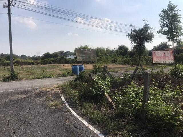 ขายที่ดินราคาถูกสระบุรี ขายที่ดินโฉนดครุฑแดงพร้อมโอนกรรมสิทธิ์ทุกวัน จ-ศ ราคา3แสนบาท