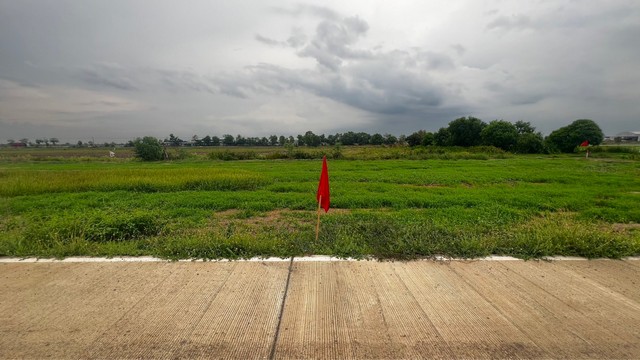 ที่ดินถมแล้ว เลียบคลองแอน 6-7 คลองหลวง ปทุมธานี ติดถนนคอนกรีต