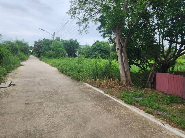 ที่ดิน - 1300000 B.  ขนาด = 102 ตารางวา ใกล้กับ ตลาดไท วัดธรรมกาย ร้านพี่ยาคนรุม ราคา งามๆ ถมแล้ว