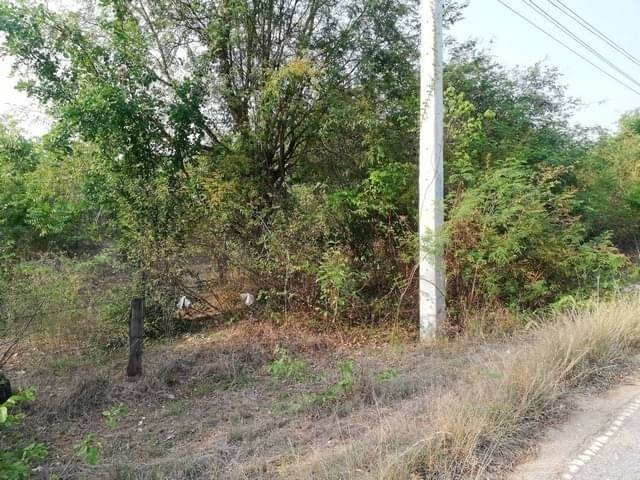 สนใจทรัพย์ดีราคาเงื่อนไขคุยตรงเจ้าของได้ ขายที่สวยติดทางหลวง1107 บ้านตาก จ.ตาก คมนาคมสะดวก ไร่ละ 300000 ต.ตากตก อ.บ้านตาก  จ.ตาก  0837124115