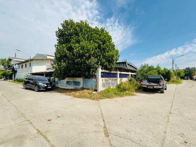 ขายคอนโดThe Crest Sukhumvit 49 ห้องมุม แสงธรรมชาติเข้าในทุก Functions ของตัวห้อง