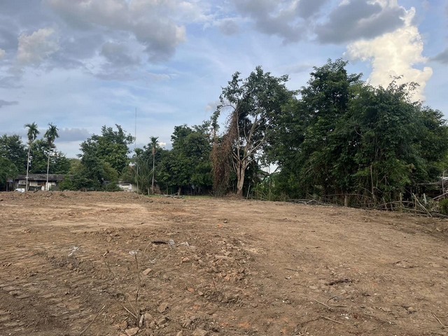 ขายที่ดินเปล่า 189ตรว. 1.99ลบ. ถม น้ำ ไฟฟ้า หลัง รร.นครพายัพ NIS วงแหวน2-3 บ้านร้องอ้อ ต.สันผีเสื้อ อ.เมืองเชียงใหม่