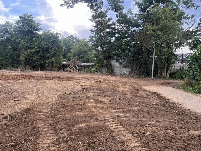 ขายที่ดินเปล่า 189ตรว. 1.99ลบ. ถม น้ำ ไฟฟ้า หลัง รร.นครพายัพ NIS วงแหวน2-3 บ้านร้องอ้อ ต.สันผีเสื้อ อ.เมืองเชียงใหม่