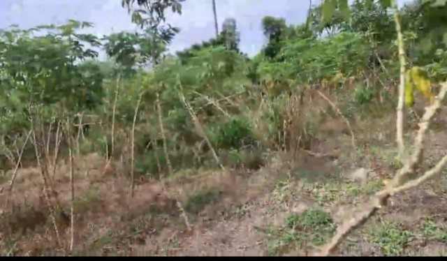 ขายที่ดินติดนิคม WHA1 แปลงสวย โซนหนองขาม ศรีราชา ชลบุรี FP-L0689