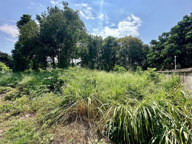 ขายที่ดินเปล่า แปลงสวย นาพร้าว ศรีราชา ชลบุรี FP-L0686 