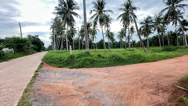 ที่วิวสวยมีไว้ไม่ผิดหวัง  หาดบางเบิด 10-3-74 ไร่ ไร่ล่ะ 1.5 ลบ.โฉนด พร้อมโอน ทัศนียภาพงดงาม สวยวิวดีหายากทำเลเยี่ยมคุยง่ายต่อได้ 0968821857