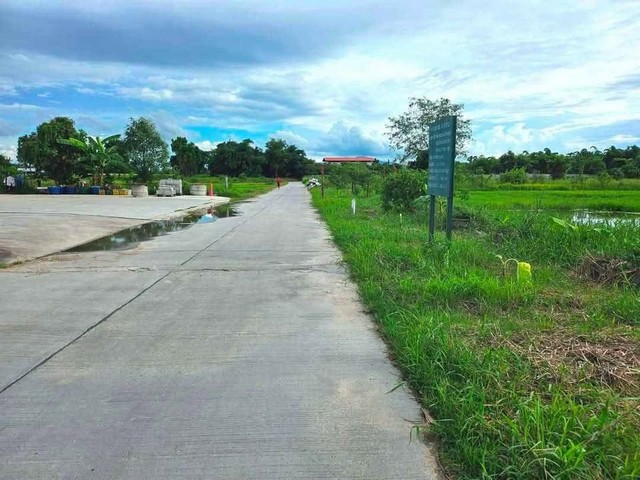 ขายที่ดินพานทองราคาถูก หนองหงษ์  พานทอง ชลบุรี บนเนื้อที่  10 ไร่ ใกล้นิคมอมตะนคร