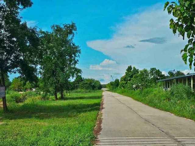 ขายที่ดินสวยใกล้อมตะนครชลบุรี ที่ดินอยู่ใกล้โครงการหมู่บ้านและโรงงานอุตสาหกรรมอมตะนคร ❇️บนเนื้อที่ 10  ไร่