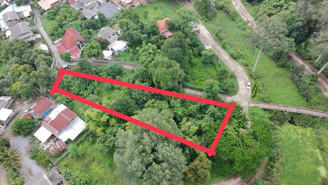 ขายที่ิดินสระบุรี ขายที่ดินติดบึงป่าสักเสาไห้ 1ไร่48ตรวเกริก0934415691