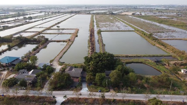 ขายที่ดิน 114 ไร่ บางปะกง ฉะเชิงเทรา แปลงสวย ใจกลางทำเลศักยภาพ เหมาะพัฒนาโครงการ