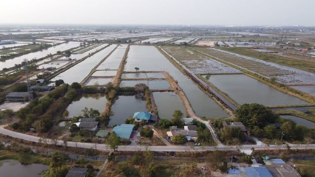 ขายที่ดิน 114 ไร่ บางปะกง ฉะเชิงเทรา แปลงสวย ใจกลางทำเลศักยภาพ เหมาะพัฒนาโครงการ