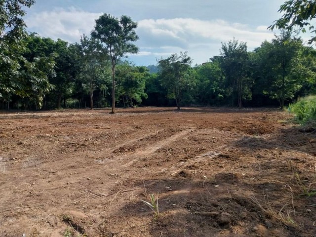 ขายที่ดินวิวหลังเขา แปลงสวย ทำเลดีมาก บางพระ ศรีราชา ชลบุรี FP-L0696