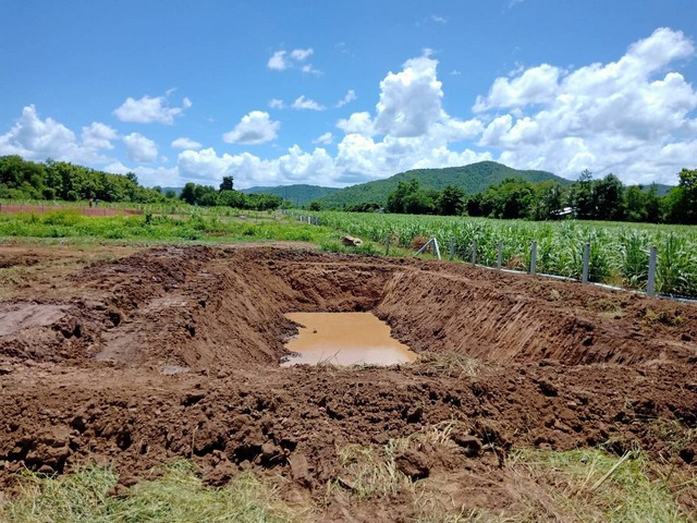 ที่ดินล้อมรั้วแล้ว ขุดบ่อ1ลูก ลึก3เมตร ตำบลห้วยขมิ้น อำเภอด่านช้าง จังหวัดสุพรรณบุรี