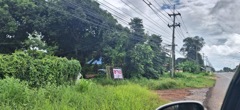 ขายที่ดินหัวมุม ทำเลทอง ติดถนน2ด้าน ด้านหน้าติดถนน4เลน อำเภอป่าติ้ว จังหวัดยโสธร